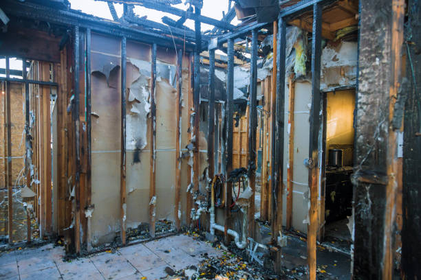 Professional Smoke Damage Removal technician working in Belle Mead, NJ
