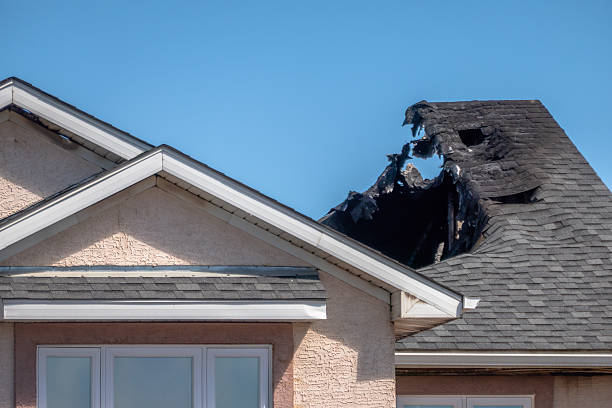 Top rated local Smoke Damage Removal specialists in Belle Mead, NJ